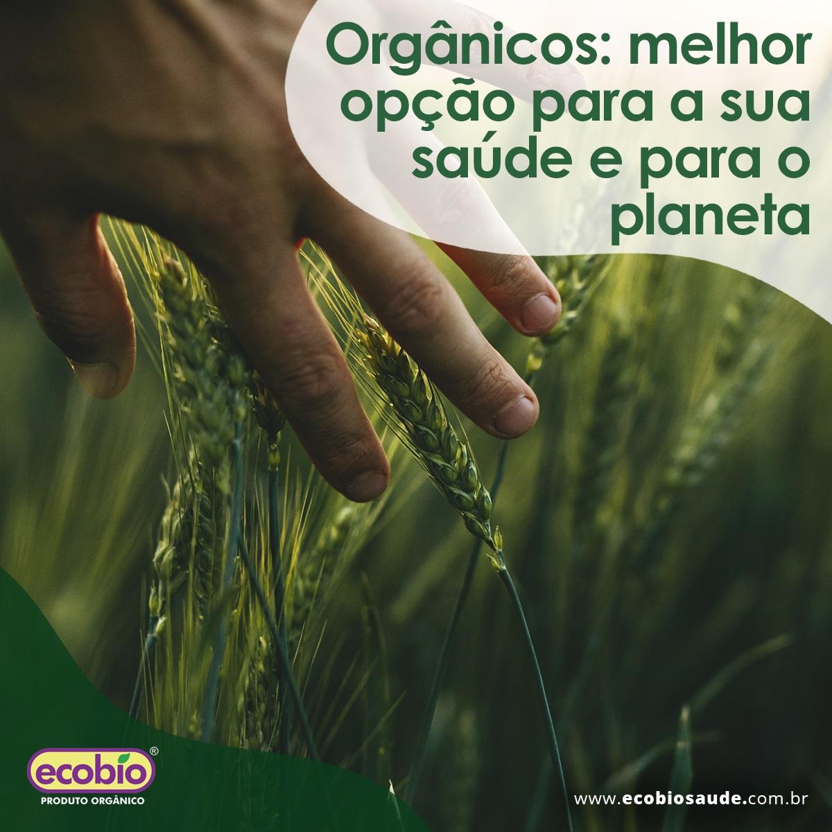 Orgânicos: melhor opção para a sua saúde e para o planeta